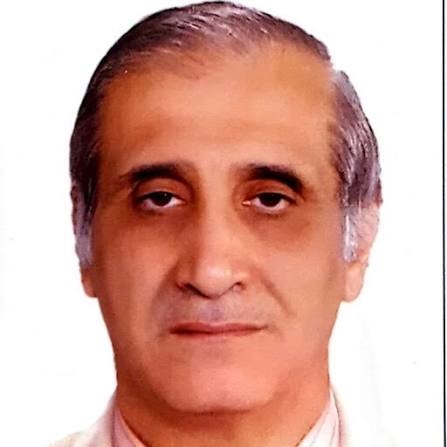 Prof. Ahmed El Nawawy