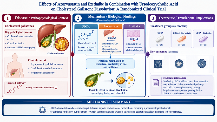 Ultrasonographic Outcomes of Ursodeoxycholic Acid Alone and in Combination with Atorvastatin or Ezetimibe in Patients with Asymptomatic Gallbladder Stones: A Comparative Clinical Study 
